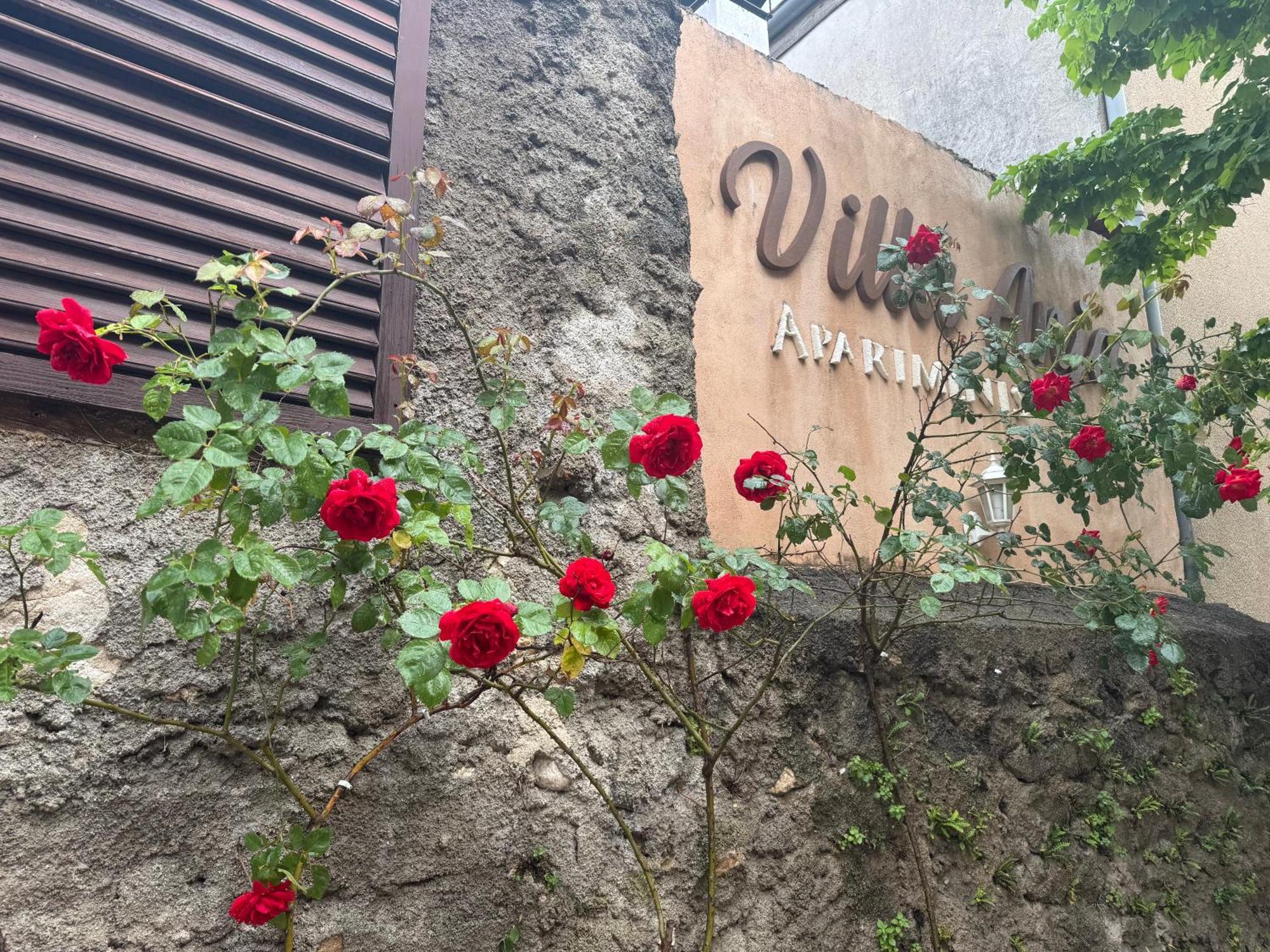 Villa Anja Apartments Μόσταρ Εξωτερικό φωτογραφία